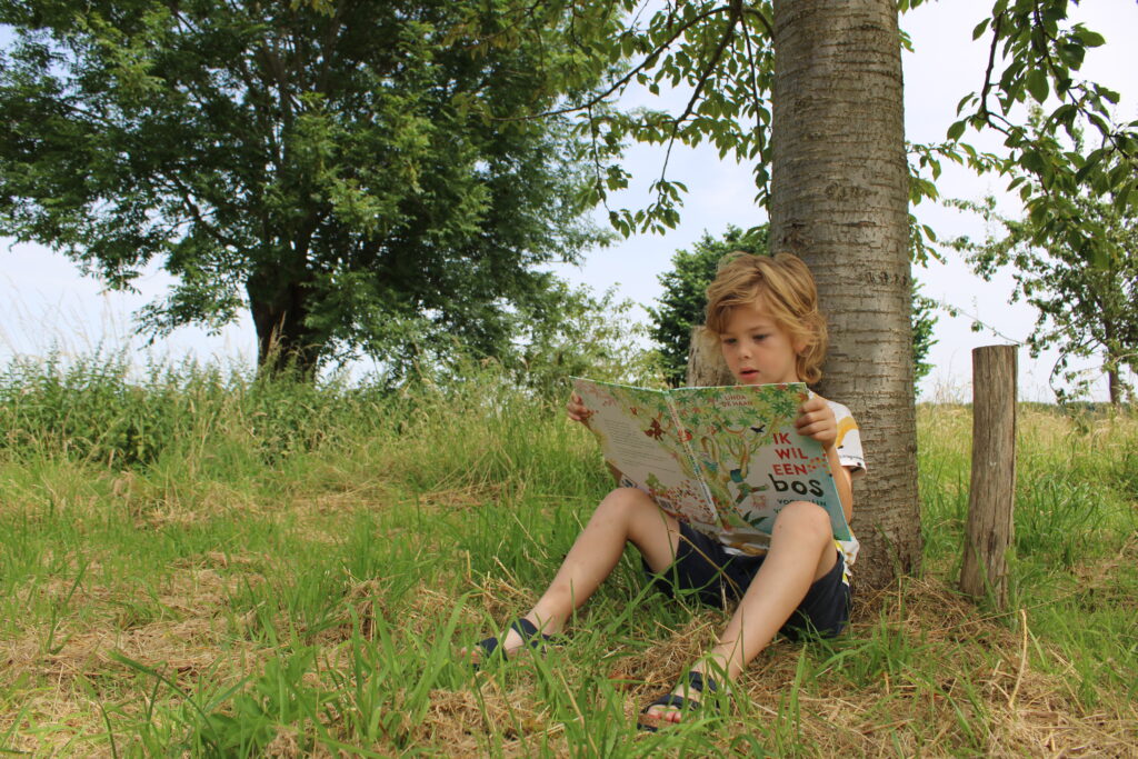 ik wil een bos voor mijn verjaardag