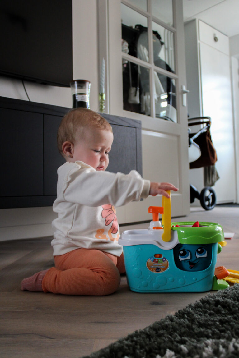 speelgoed schoonmaakset